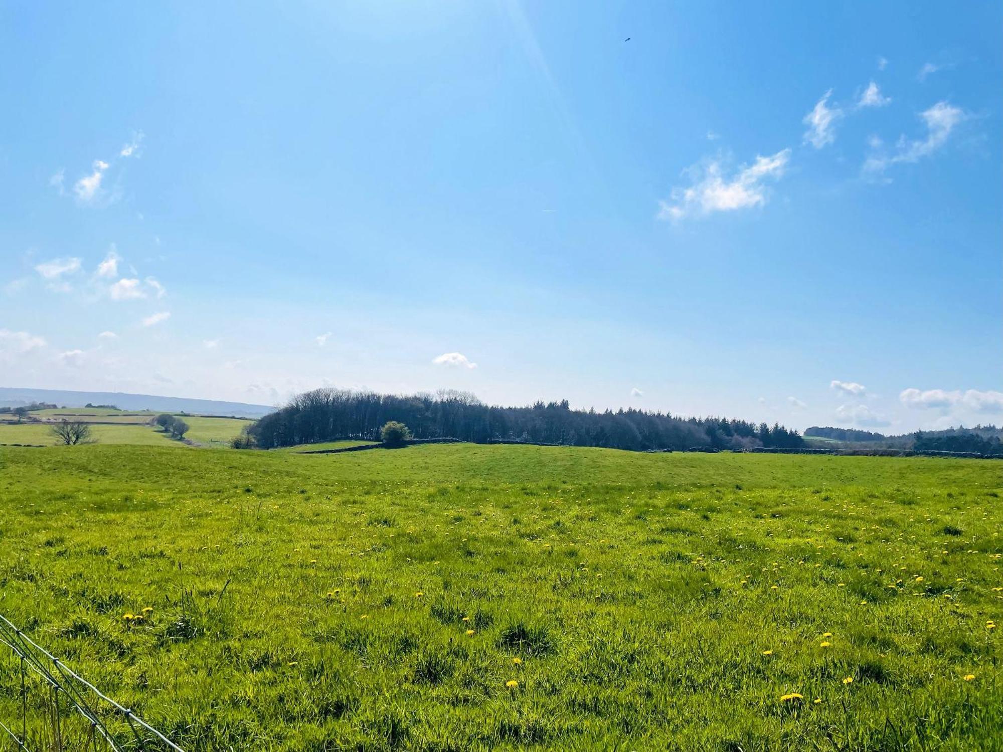 Farm View - Uk43708